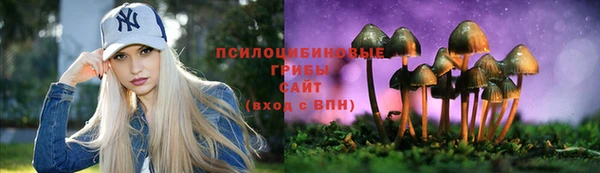 винт Абаза