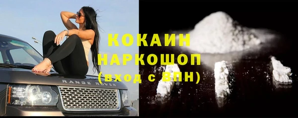 винт Абаза