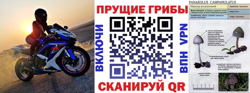 Галлюциногенные грибы мухоморы Усть-Катав